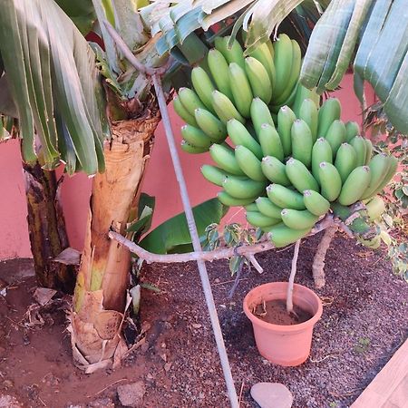 Casita La Gomera San Sebastián de la Gomera Eksteriør billede