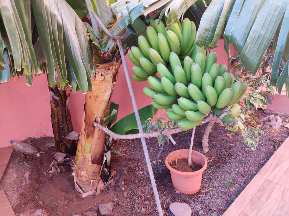 Casita La Gomera San Sebastián de la Gomera Eksteriør billede